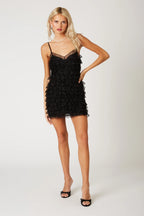 Lace Ruffle Mini Dress