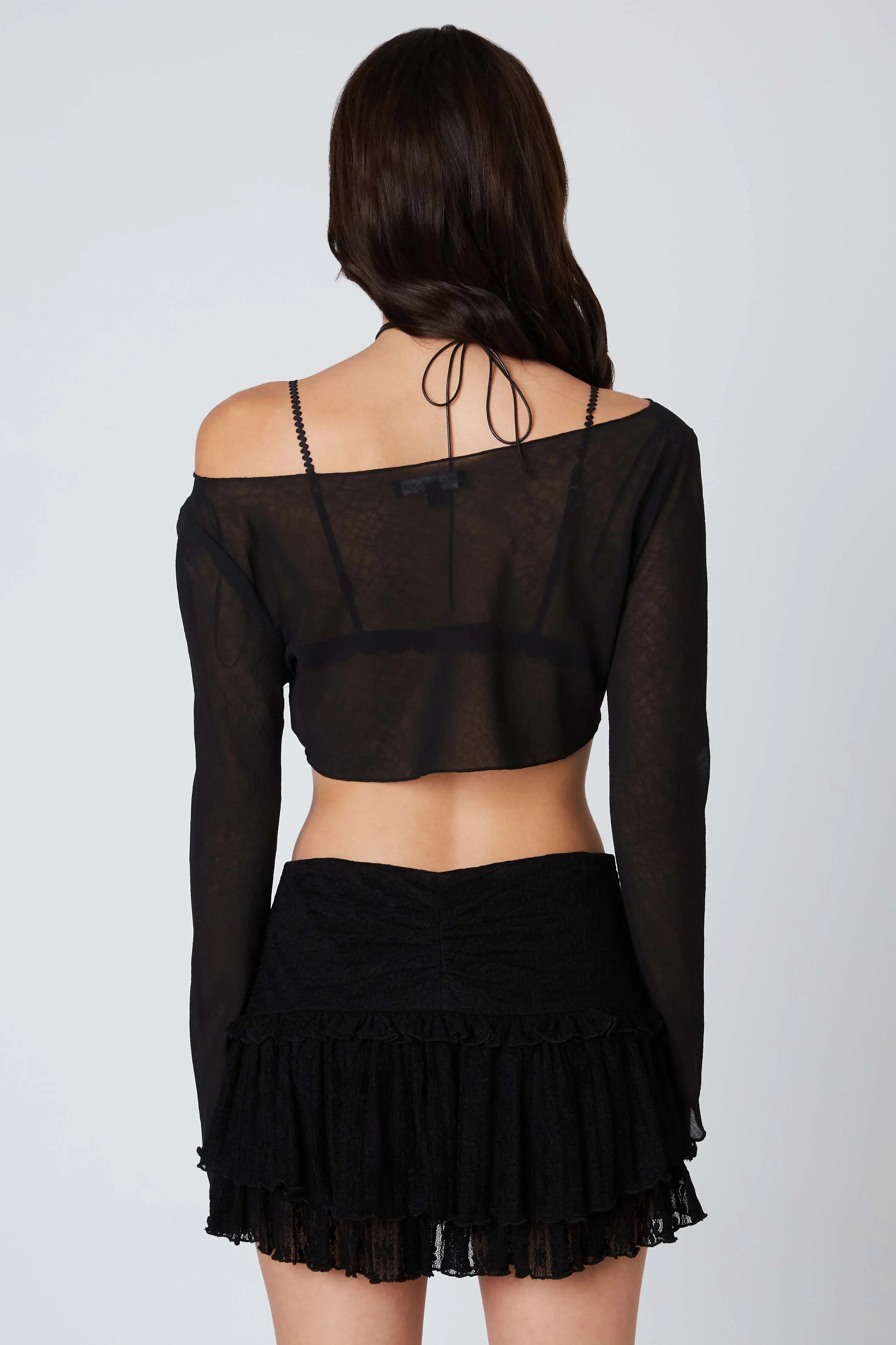 Mesh Cropped Long Sleeve Top