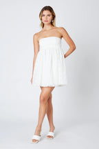 Organza Mini Dress
