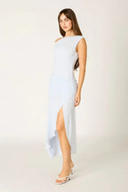 Mesh Asymmetric Midi Dress