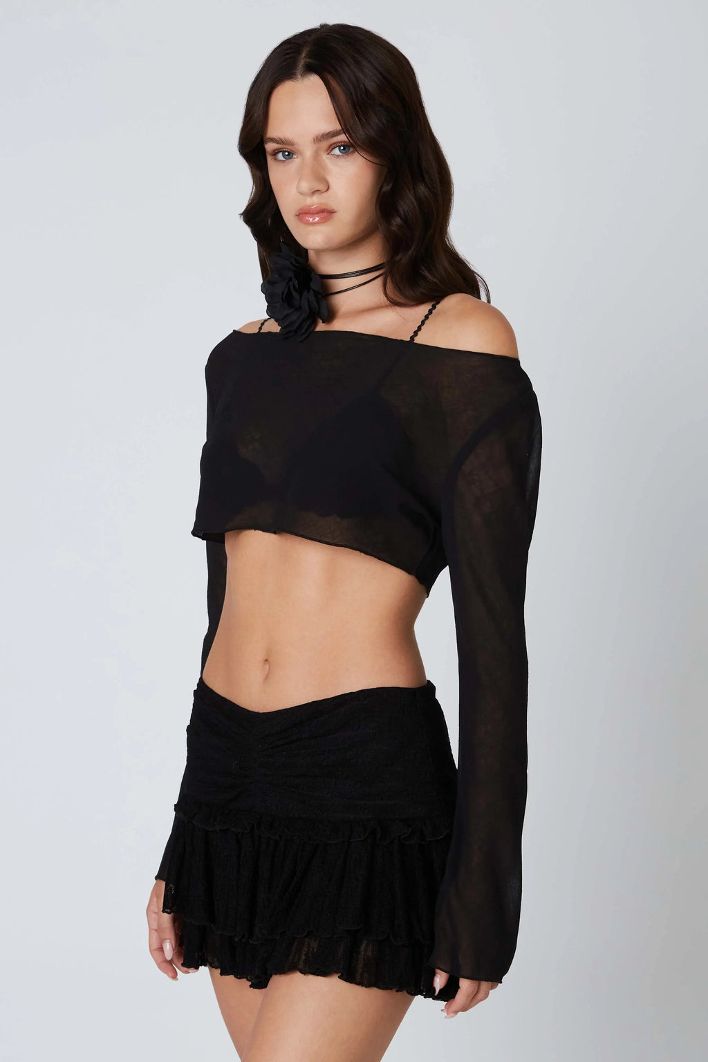 Mesh Cropped Long Sleeve Top
