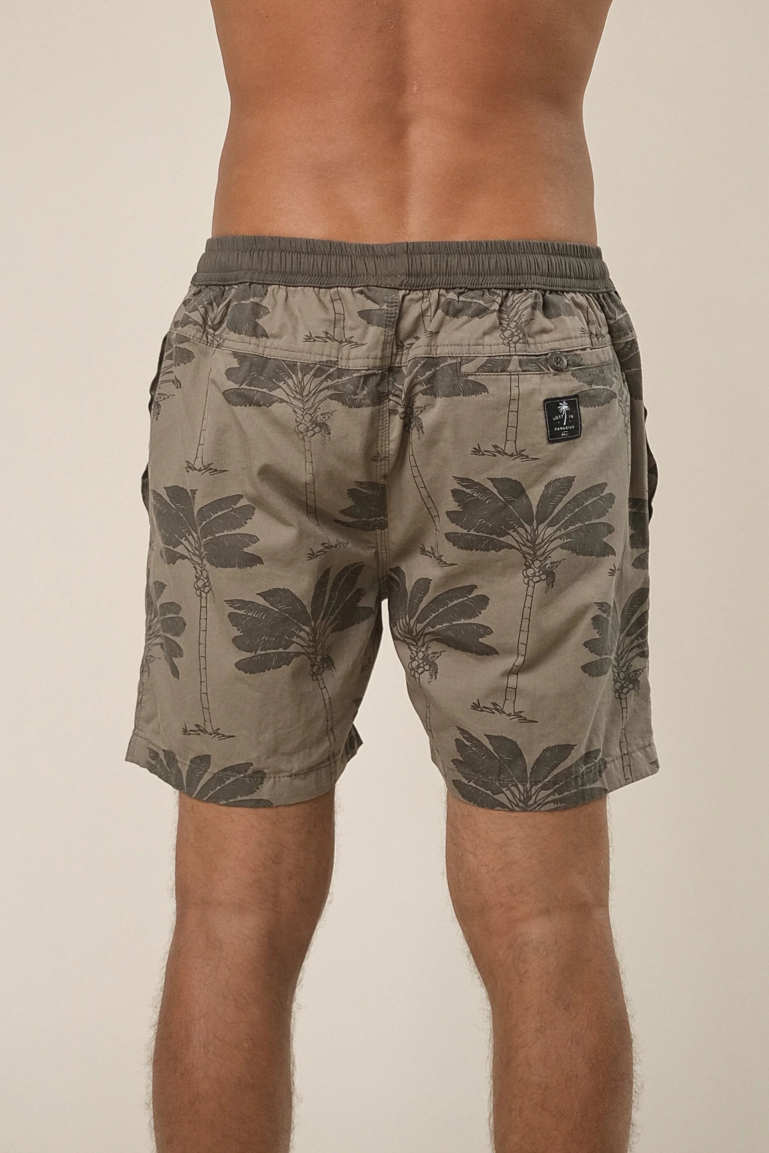 Traveller Palm Short