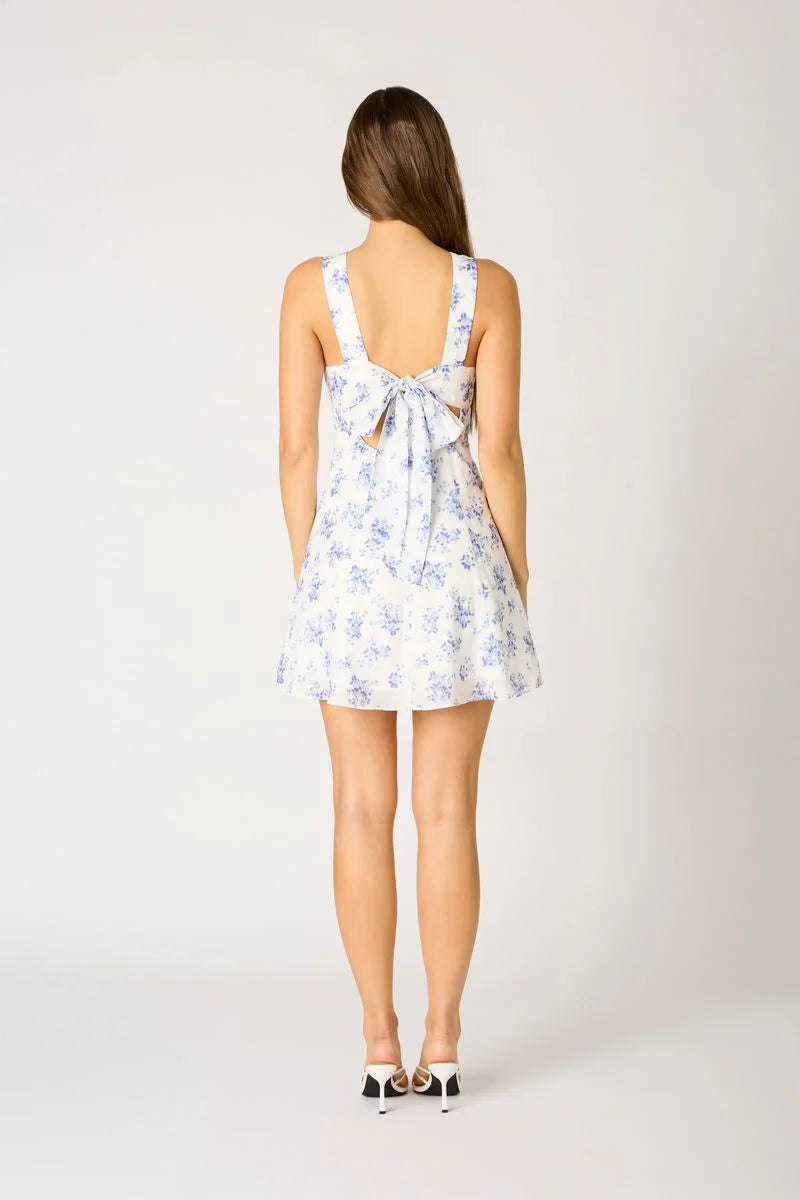 Vintage Floral Mini Dress