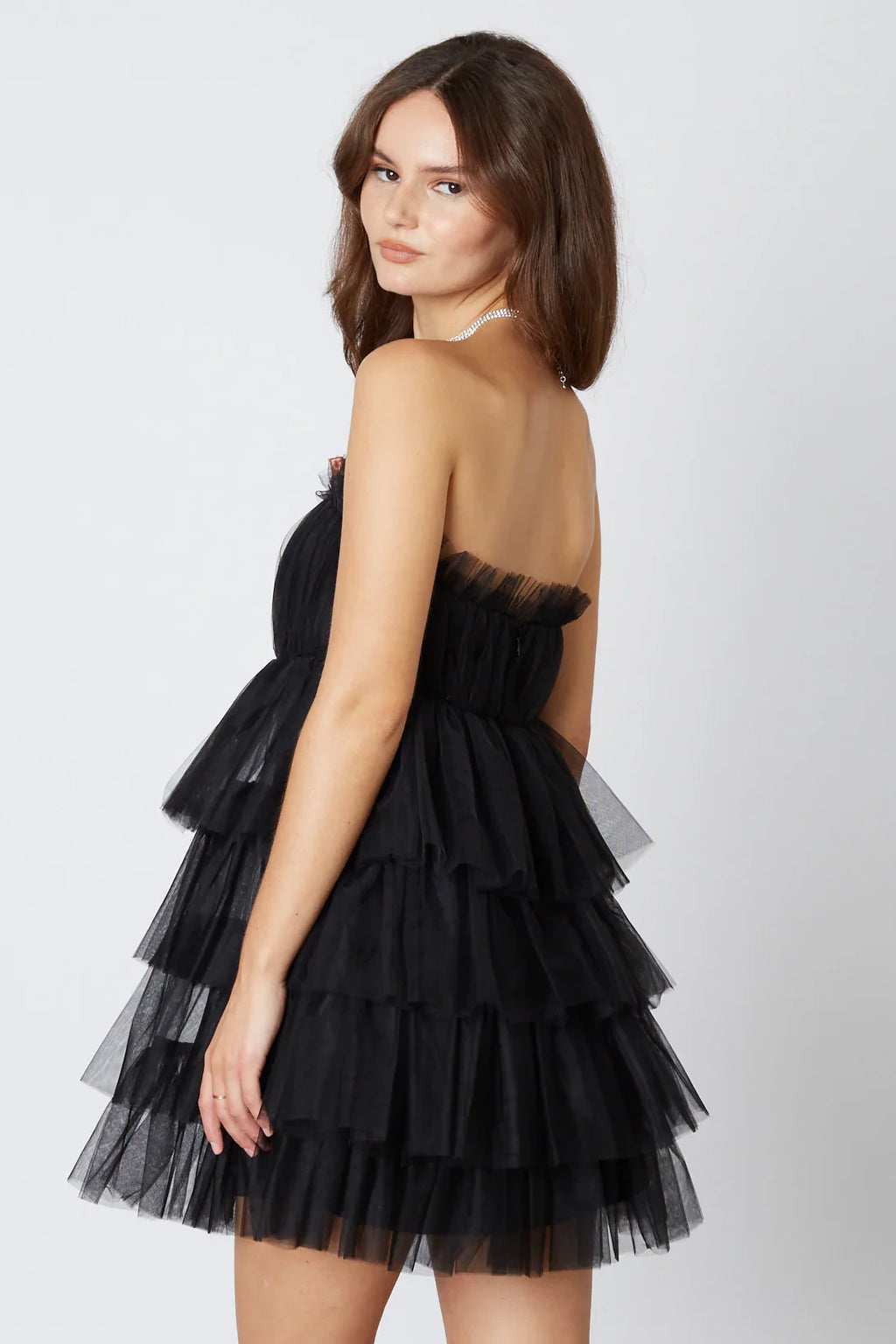 Tulle Mini Dress
