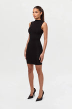 NW Sleeveless Mini Dress